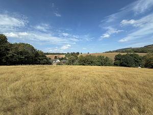 Paddock- click for photo gallery